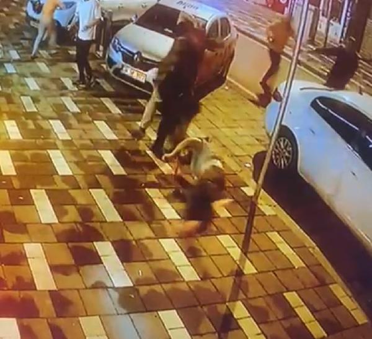 Düzce merkezli depremde Marmara ve İç Anadolu bölgeleri sallandı (25)