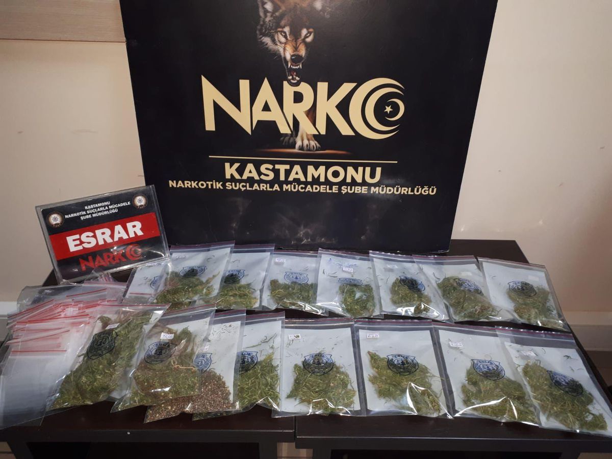 Kastamonu\'da uyuşturucu operasyonunda yakalanan kişi tutuklandı
