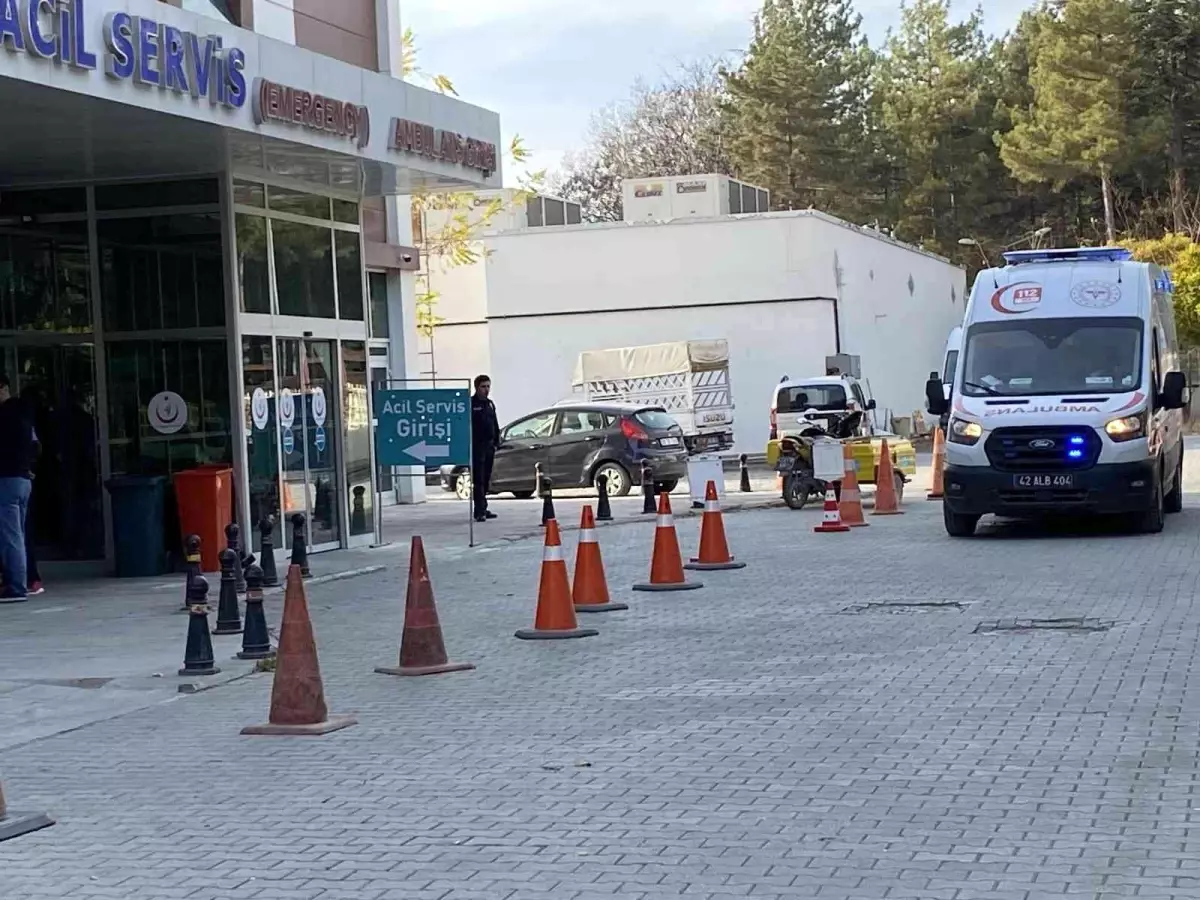 Köpeğe çarpan otomobil şarampole devrildi: 3 yaralı