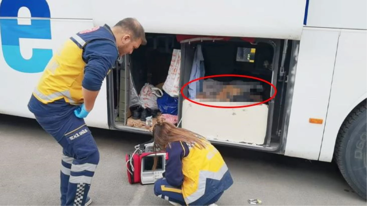 Bursa\'da otobüsün bagajında uyuyan şoförün cansız bedeni bulundu