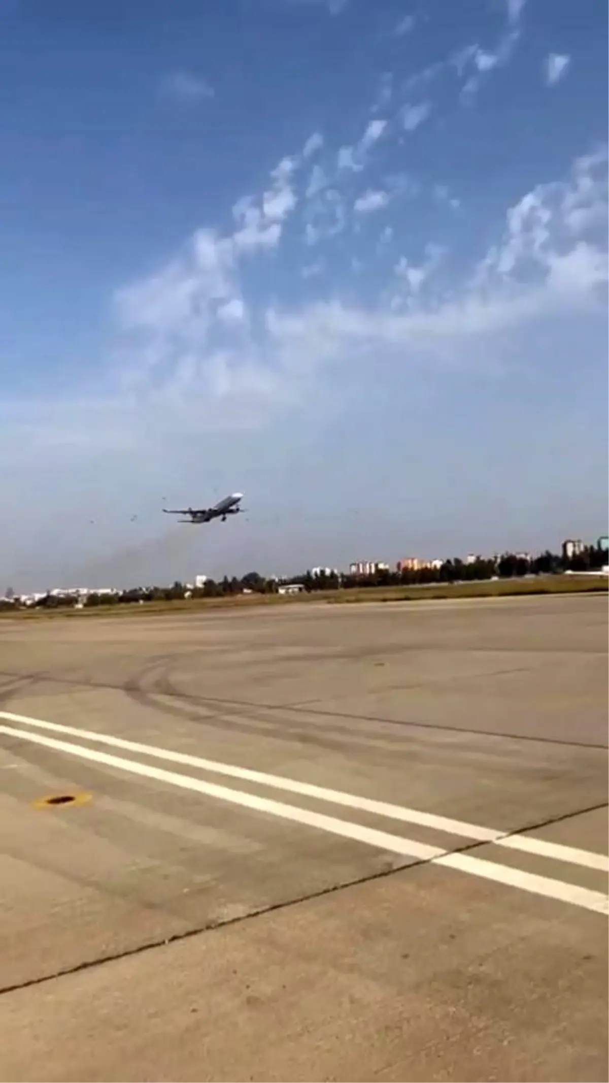 Uçak kuş sürüsüne çarpmamak için pisti pas geçti