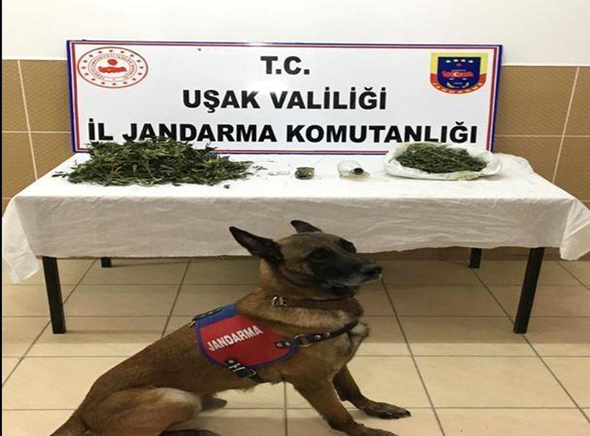 Uşak\'ta 2 uyuşturucu taciri tutuklandı