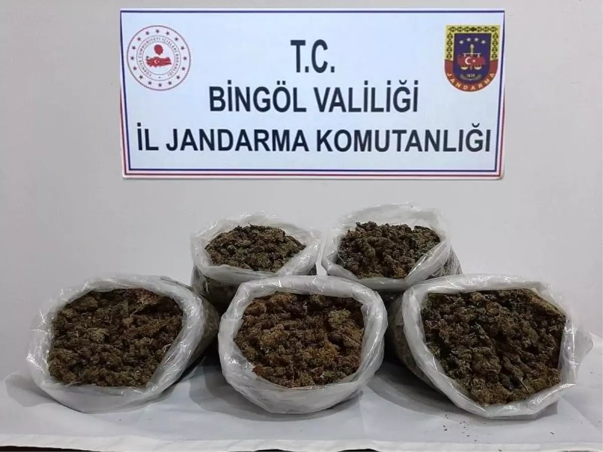 Bingöl\'de uyuşturucu operasyonu