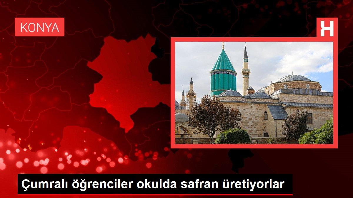 Çumralı öğrenciler okulda safran üretiyorlar