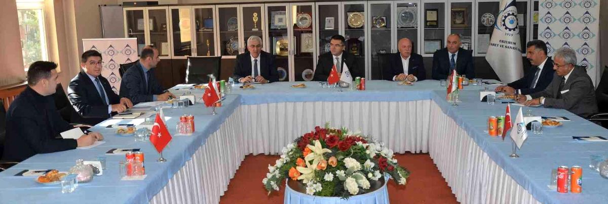 Erzurum\'da 2. OSB alanında GES kurulumu için fizibilite çalışmaları tamamlandı
