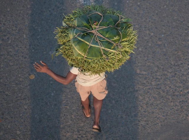Hindistan'da Betel Yaprağı Pazarı