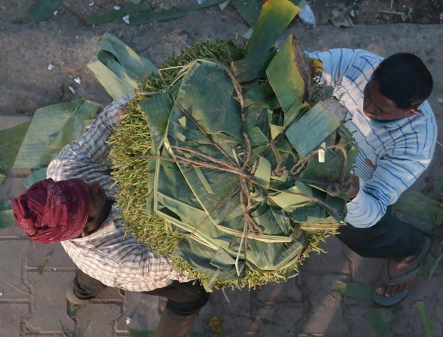 Hindistan'da Betel Yaprağı Pazarı