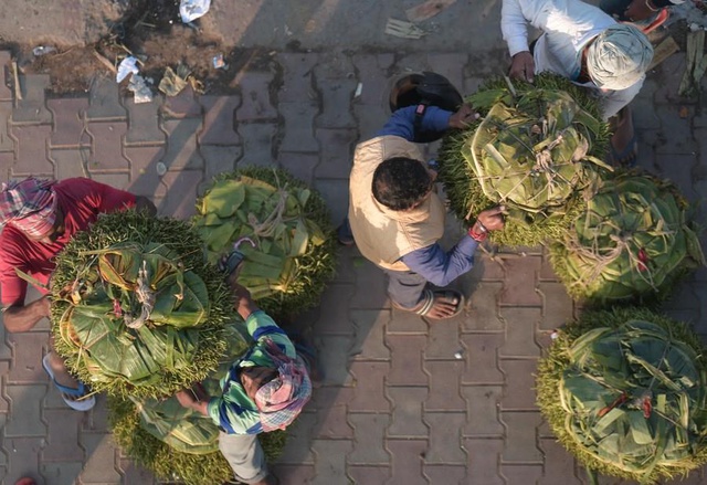 Hindistan'da Betel Yaprağı Pazarı