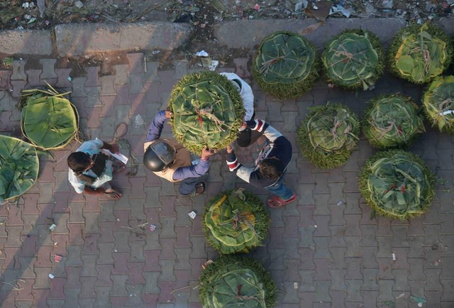 Hindistan'da Betel Yaprağı Pazarı