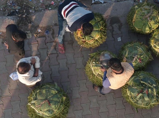 Hindistan'da Betel Yaprağı Pazarı