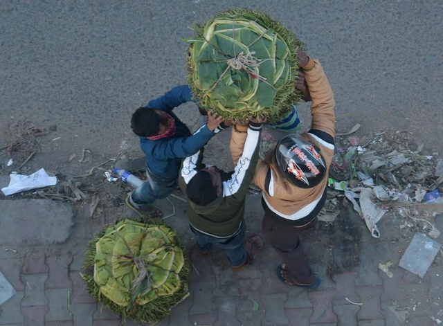 Hindistan'da Betel Yaprağı Pazarı