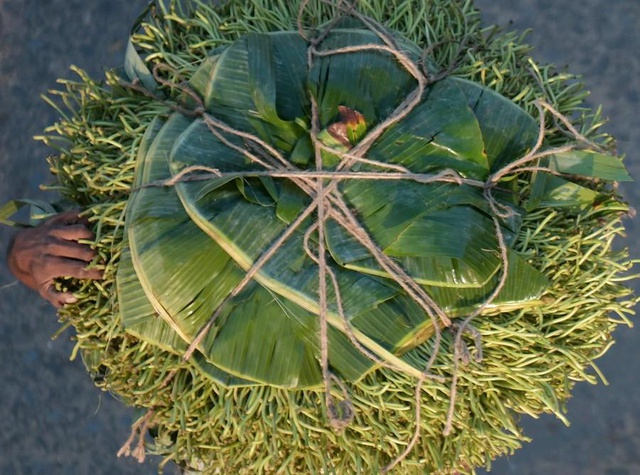 Hindistan'da Betel Yaprağı Pazarı