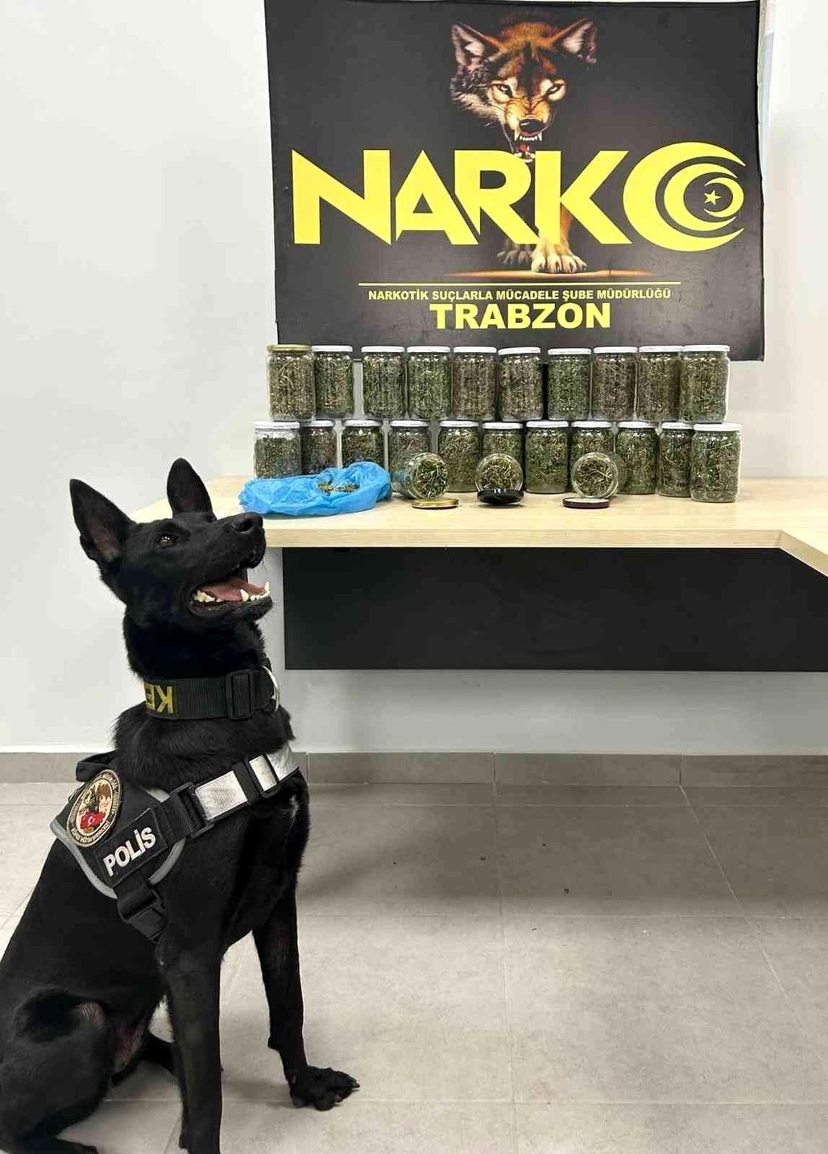 Narkotik köpeği \'İda\' iş başında