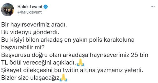 Vicdansız adam, kediyi çatıdan aşağı attı! Haluk Levent, para ödülü koyarak yardım istedi