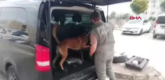 VIP araçla uyuşturucu sevkiyatı polise takıldı