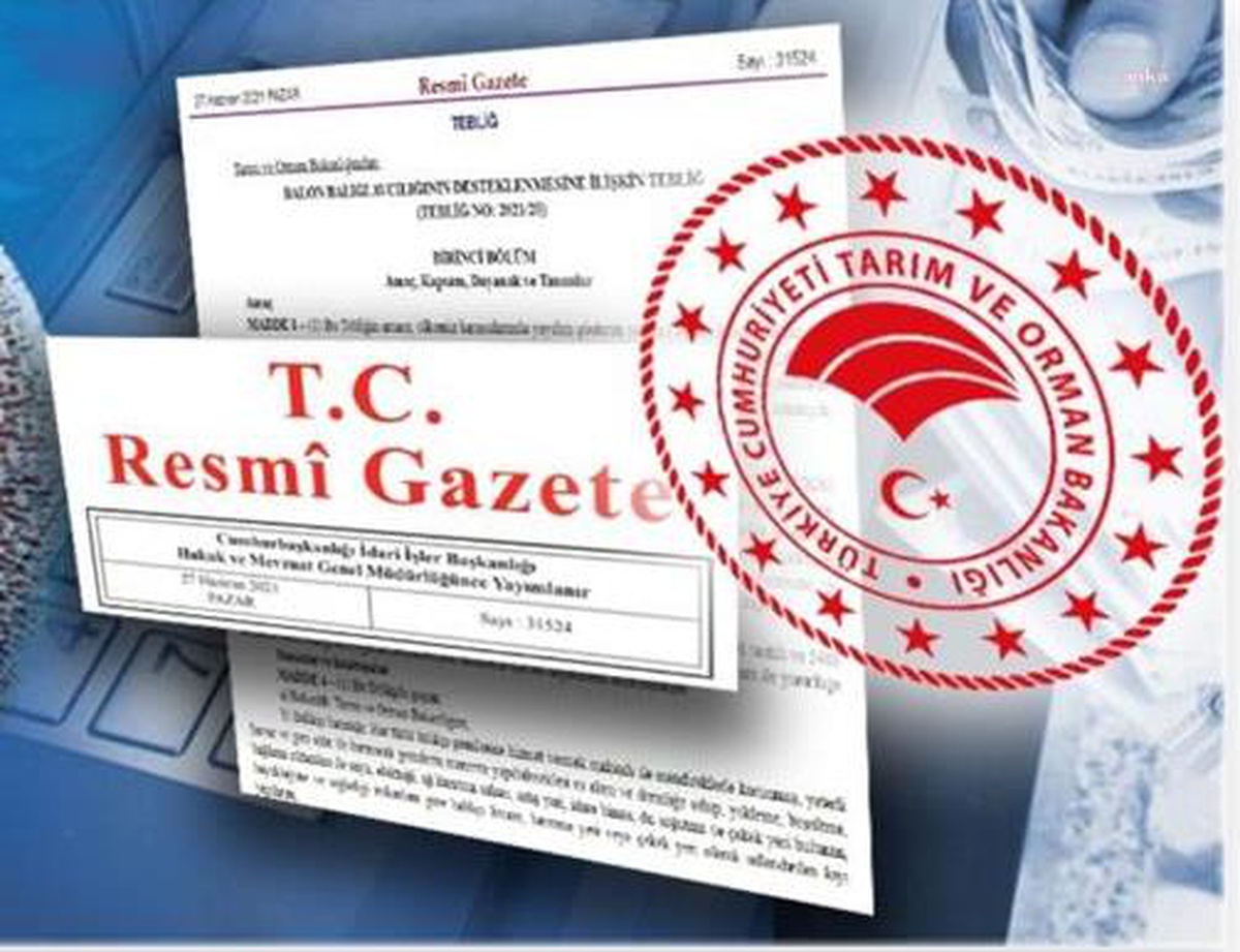 Çin Menşeli Çerçevesiz Cam Aynalarda Damping Önlemi Uygulanacak
