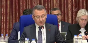 Fuat Oktay: '(Cumhurbaşkanlığı Hükümet Sistemi) Bir zafiyet veya boşluk oluşması söz konusu değil'