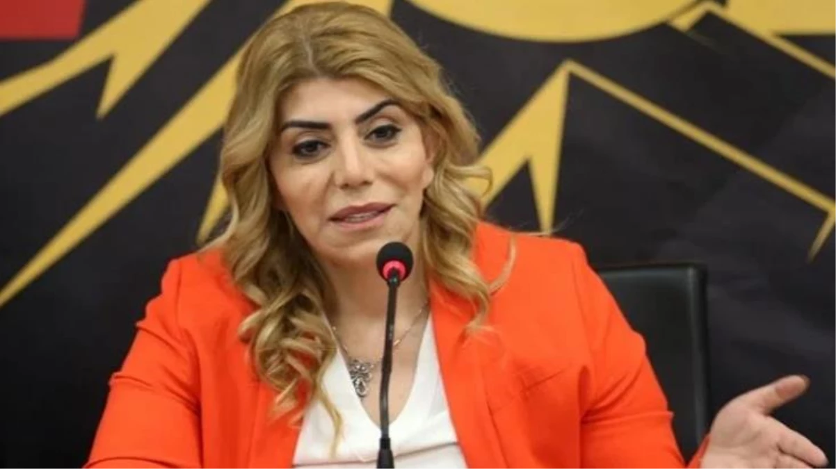 Kayserispor Başkanı Berna Gözbaşı\'na "çirkin kadın" diyen sanığın 2 yıla kadar hapsi isteniyor
