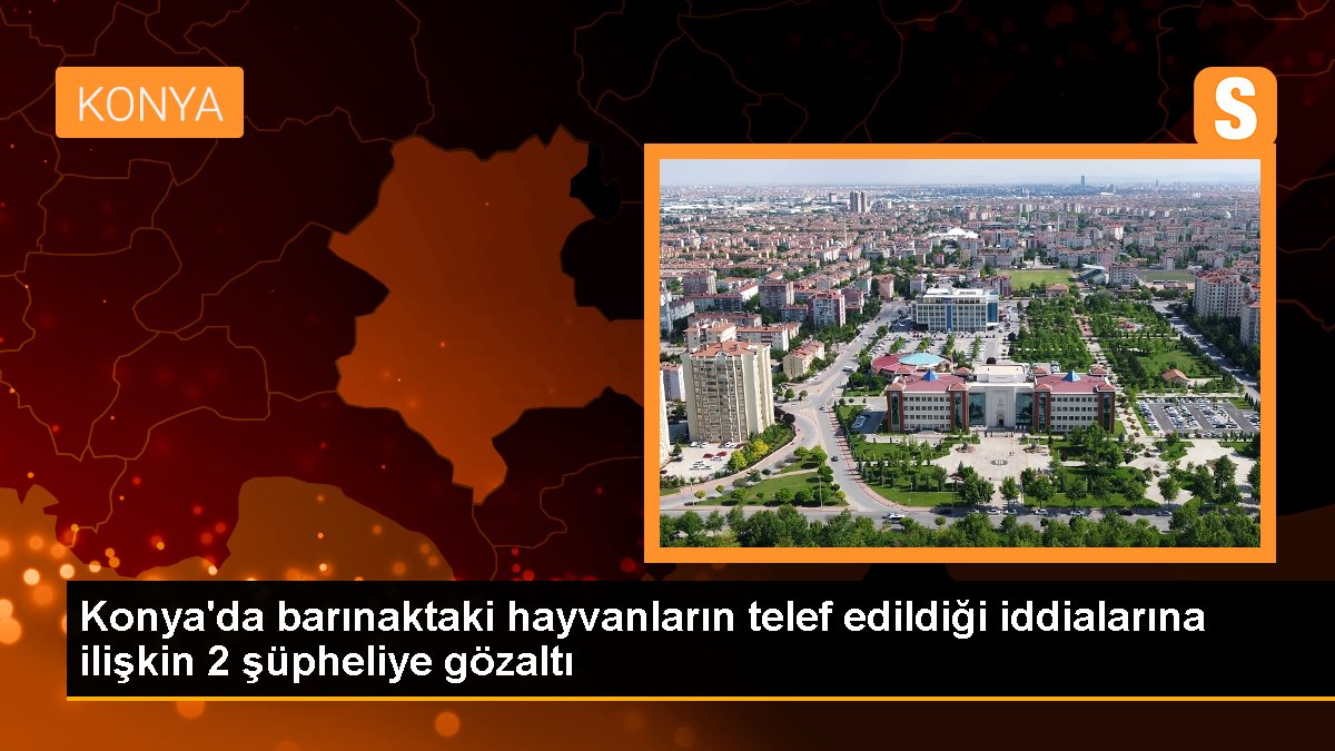 Konya\'da barınaktaki hayvanların telef edildiği iddialarına ilişkin 2 şüpheliye gözaltı