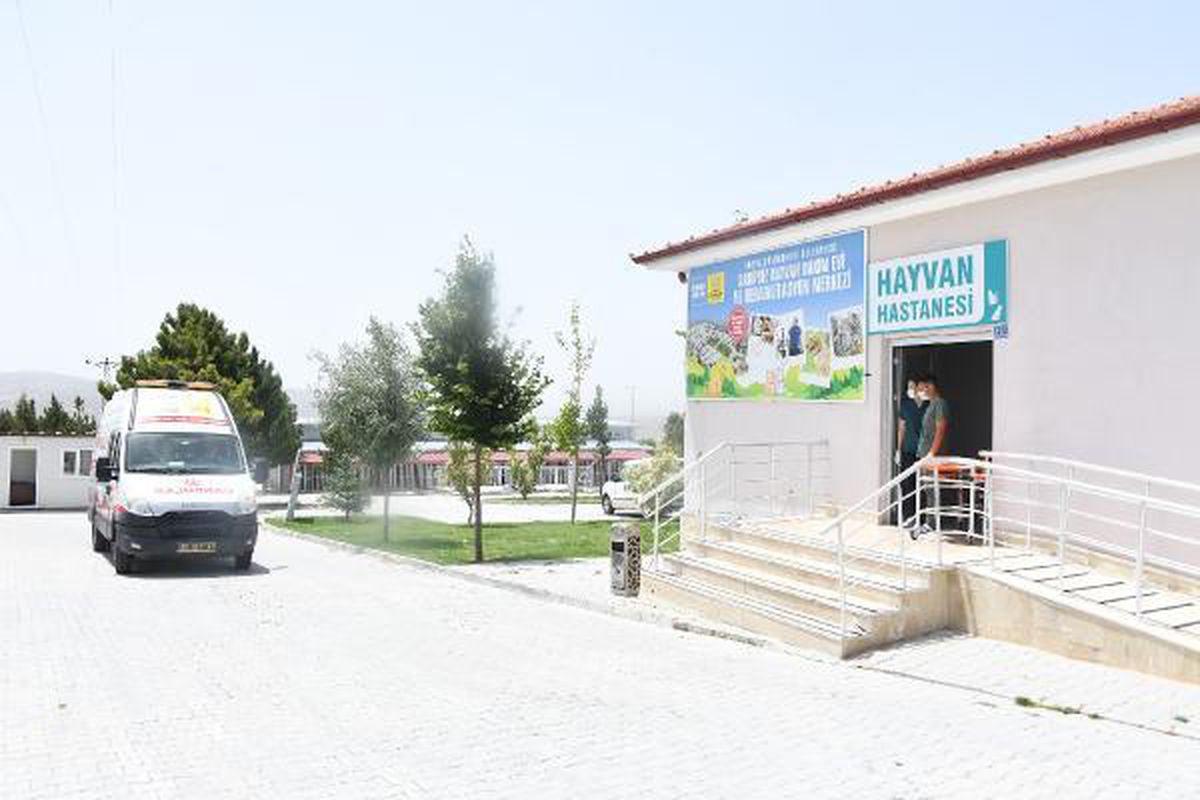Konya\'da, hayvan bakımevindeki görüntülere 2 gözaltı (3)