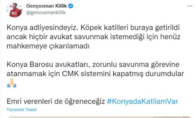 Konya'da köpekleri kürekle telef eden 2 kişi mahkemede kalakaldı! Hiçbir avukat savunmuyor