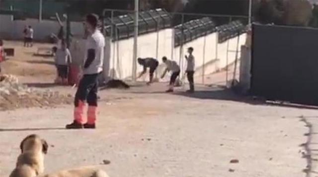 Konya'da köpekleri kürekle telef eden 2 kişi mahkemede kalakaldı! Hiçbir avukat savunmuyor