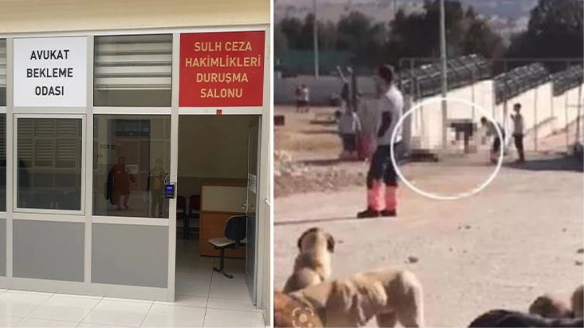 Konya\'da köpekleri kürekle katleden canilere mahkeme şoku! Savunacak avukat bulunamaması nedeniyle dava başlayamadı