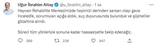 Köpek katliamıyla ilgili Konya Büyükşehir Belediye Başkanı'ndan iki cümlelik açıklama Köpek katliamıyla ilgili Konya Büyükşehir Belediye Başkanı'ndan iki cümlelik açıklama
