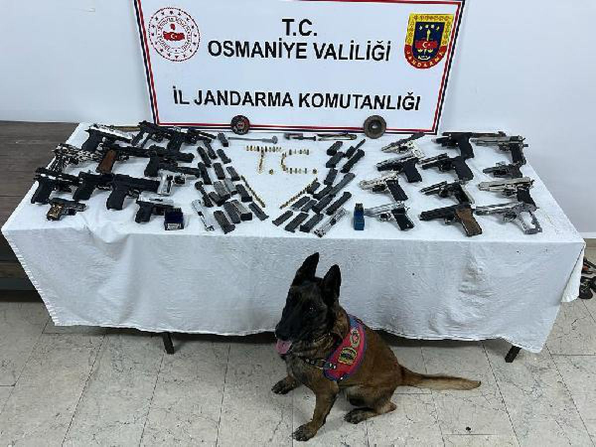Osmaniye\'de, evde ruhsatsız 24 tabanca ele geçirildi
