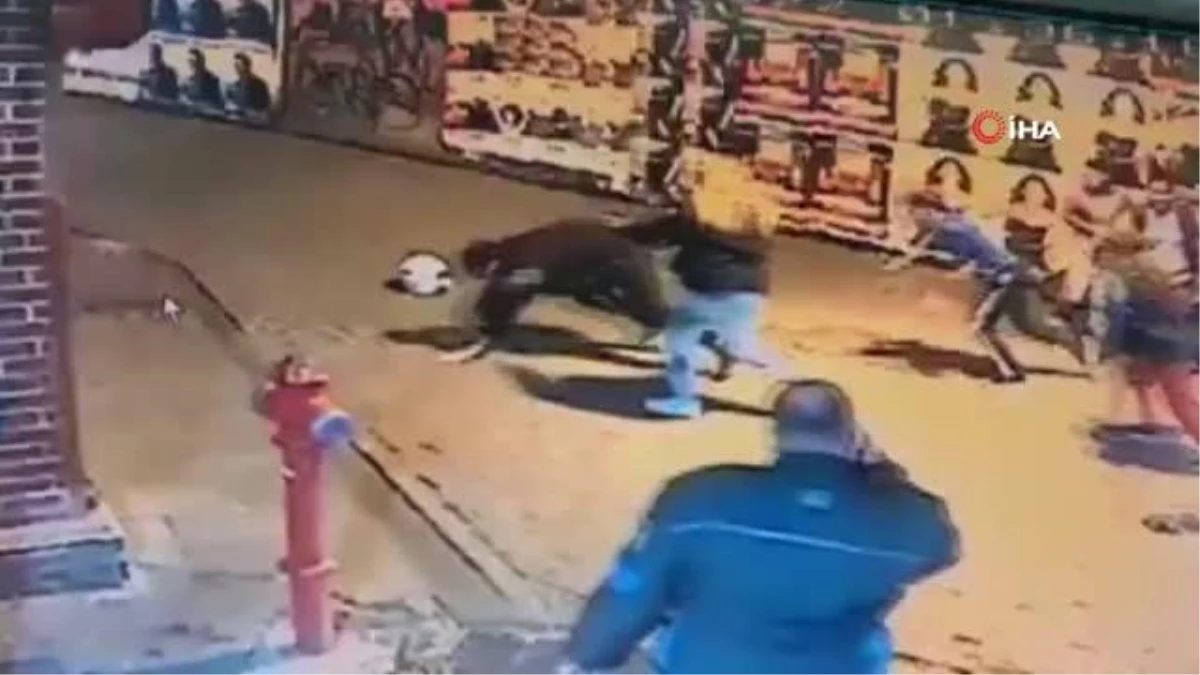 Beşiktaş Çarşı\'da bıçaklı ve kasklı kavga: Kendilerine para vermeyen kişilere böyle saldırdılar