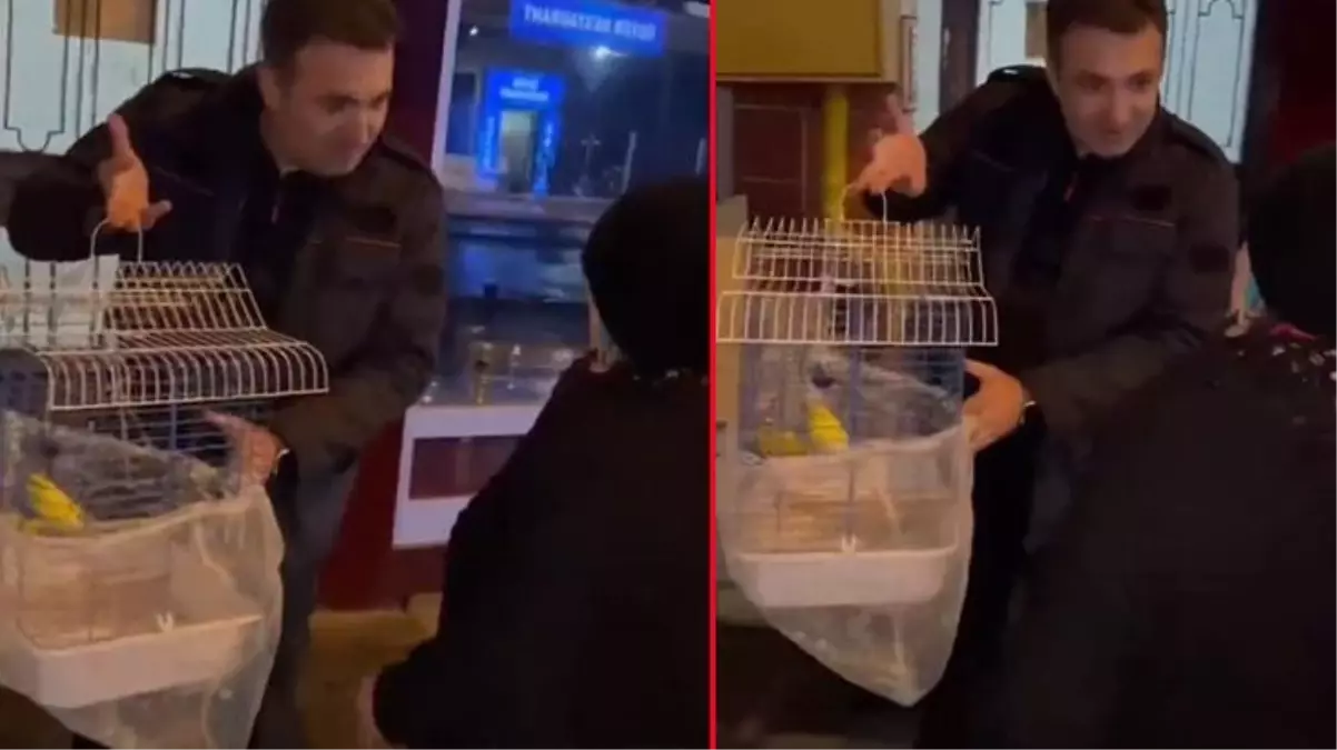 Düzce\'de yaşanan deprem sonucu binada mahsur kalan muhabbet kuşu, 3 gün sonra kurtarıldı