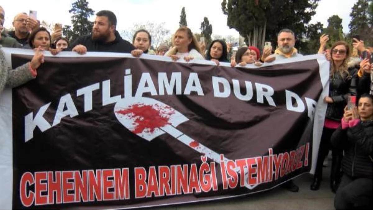 KONYA HAYVAN BAKIMEVİNDEKİ GÖRÜNTÜLER BEŞİKTAŞTA PROTESTO EDİLDİ BARINAKLARDA GÖNÜLLÜLER ÇALIŞSIN