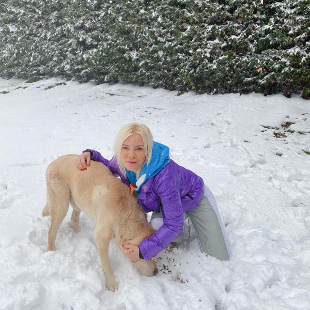 Ömür Gedik, Konya'daki köpek katliamı için avukatlara seslendi: Meslekten olma pahasına şüpheliler için ceza isteyin