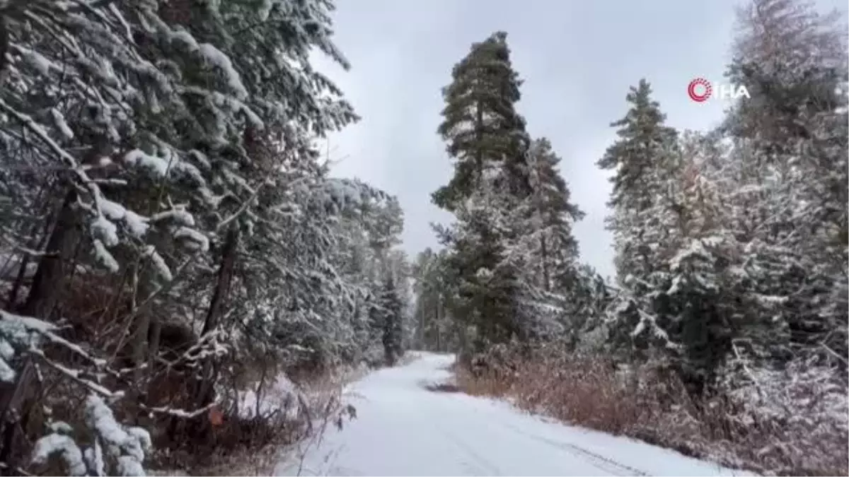 Sarıkamış beyaza büründü
