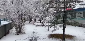 Sivas'ta kar yağışı