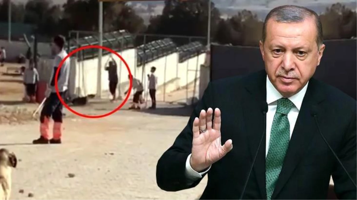 Konya\'daki vahşete Cumhurbaşkanı Erdoğan\'dan tepki: İki vicdansızın yaptıklarını üzüntüyle izledik