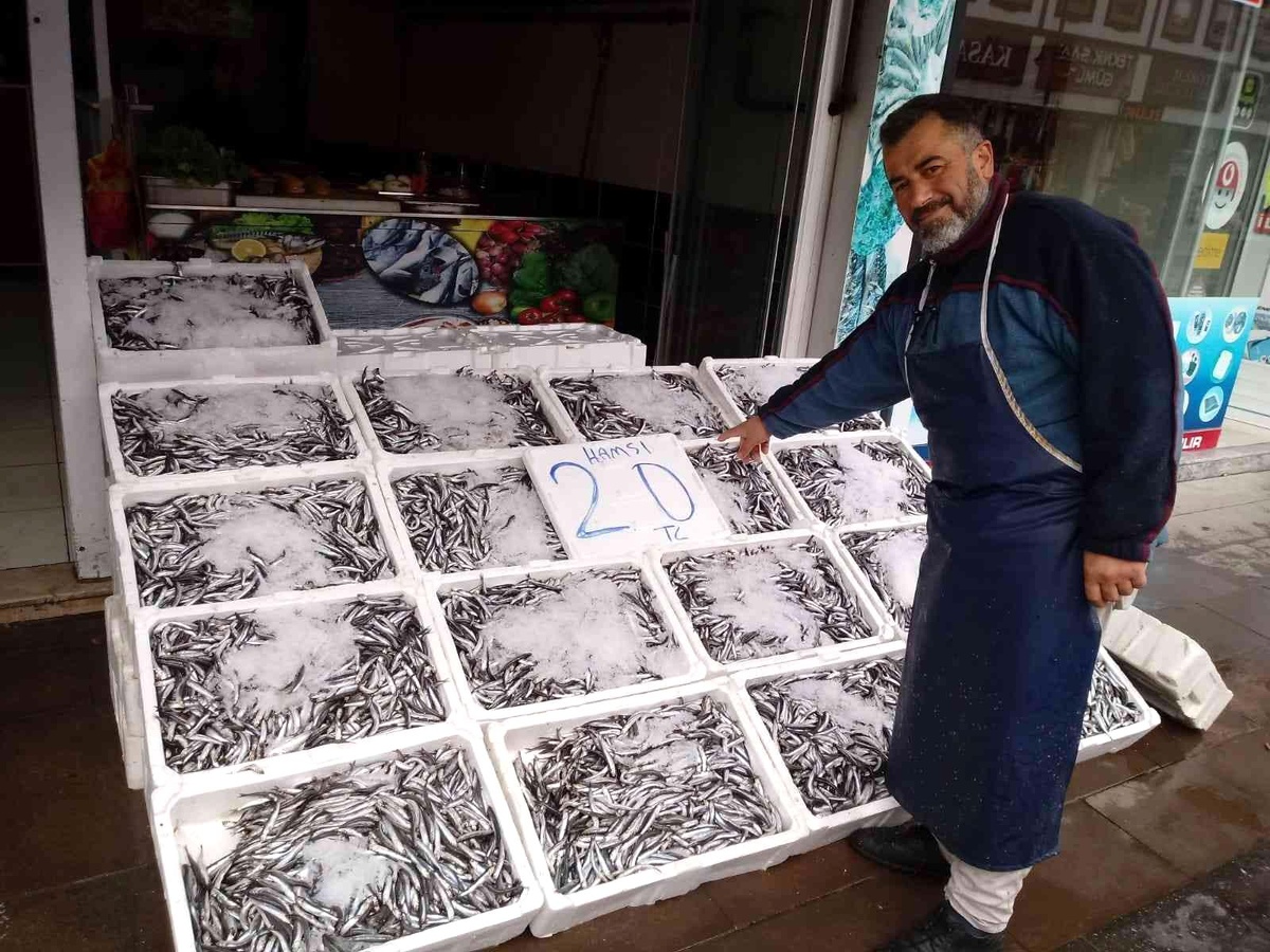 20 Liraya düşen hamsi kapış kapış gitti
