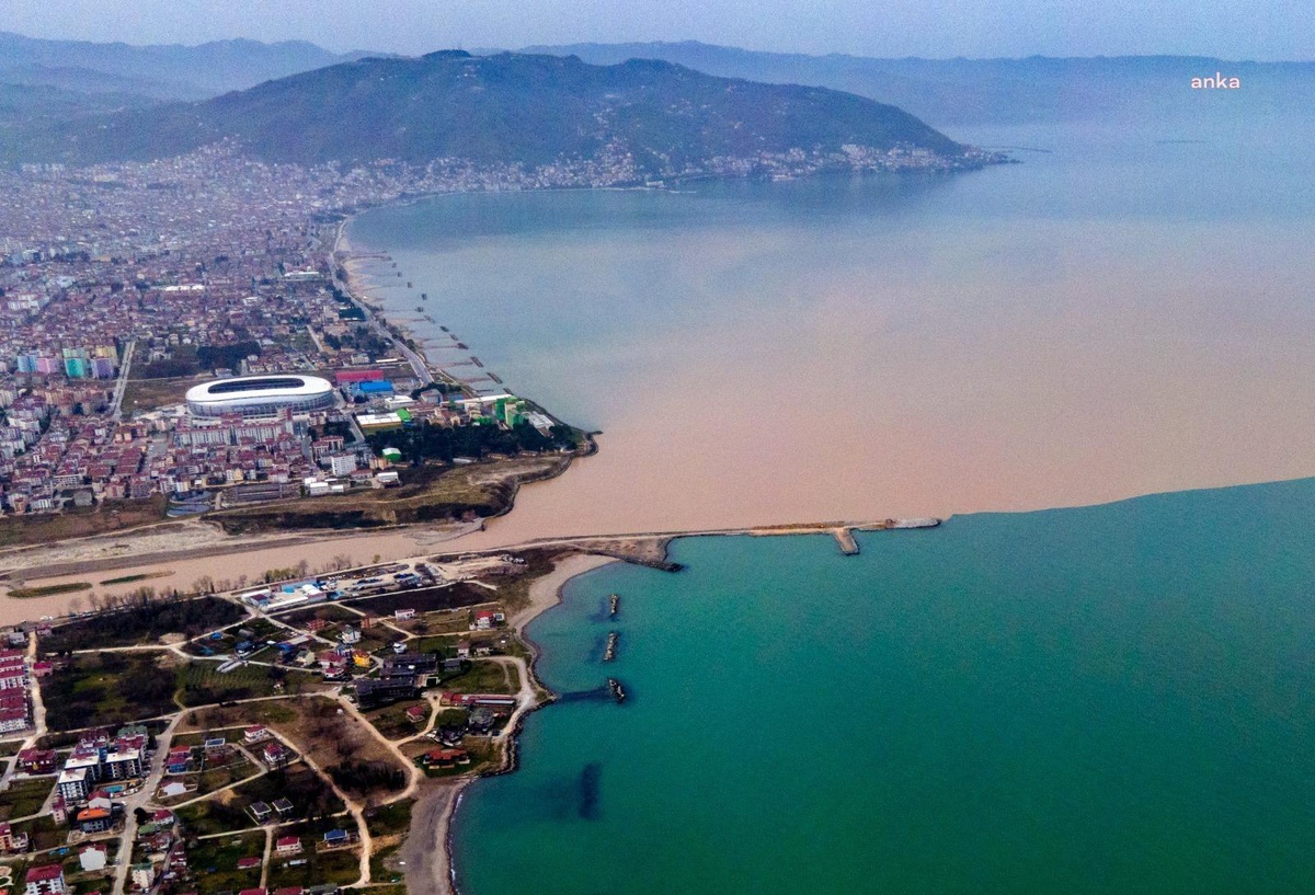 Danıştay, Ordu\'daki Balıkçı Barınağı ve Bisiklet Yolu Projelerinde Orçev\'i Haklı Buldu