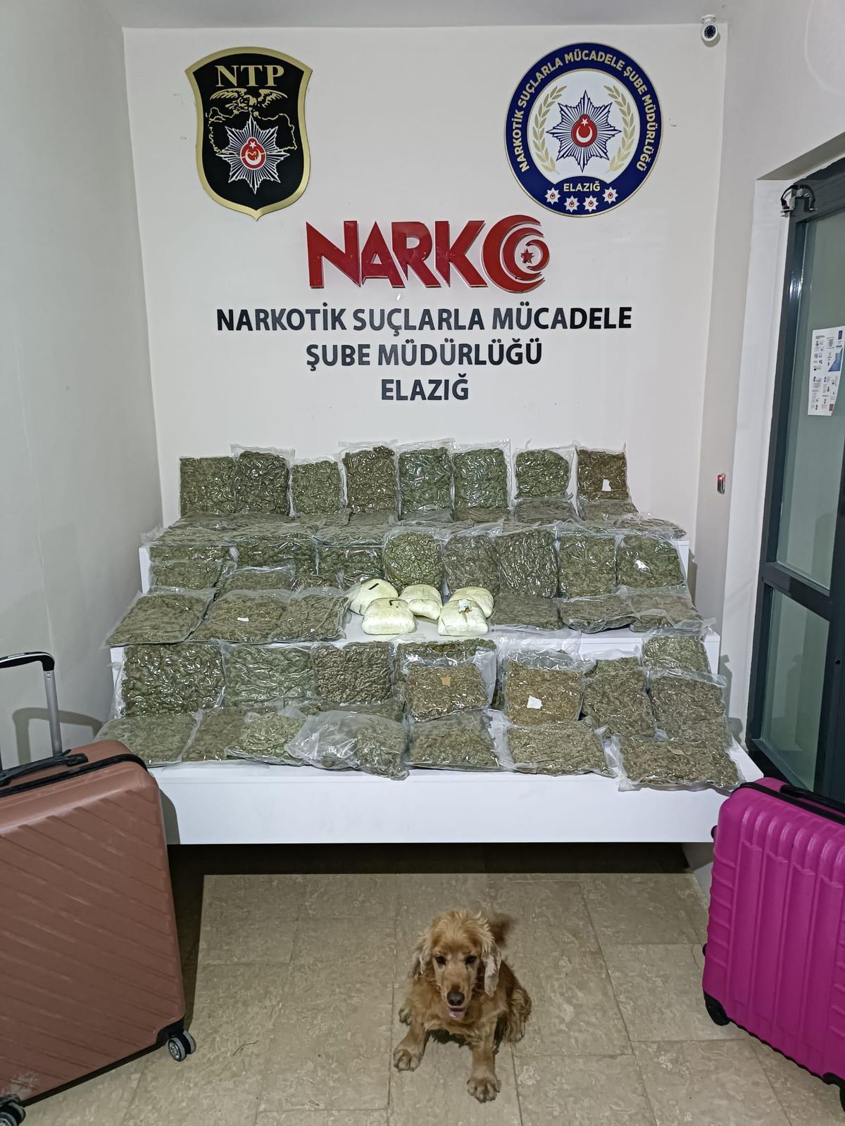 Elazığ\'da bir otomobilde 36 kilo 932 gram esrar geçirildi