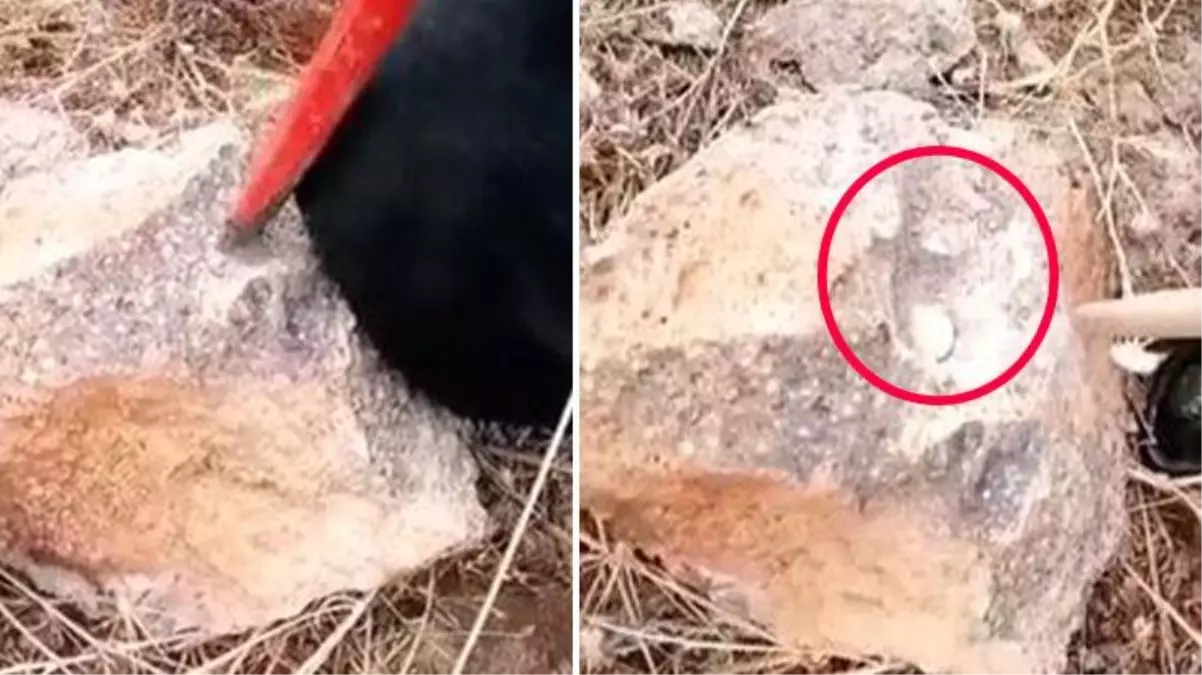 Kazmasını taşa vuran Türk defineci eski uygarlıklar tarafından saklanan altınları buldu