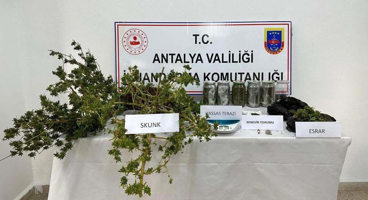 Sera ve evde yetiştirilen uyuşturucuya jandarma operasyonu