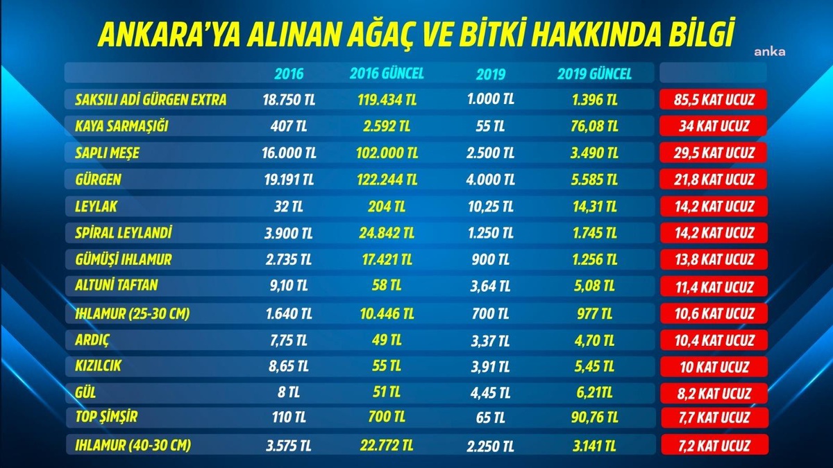 Abb, Peyzaj İçin Aynı Bitkiyi Eski Döneme Göre 85 Kat Daha Ucuza Aldı