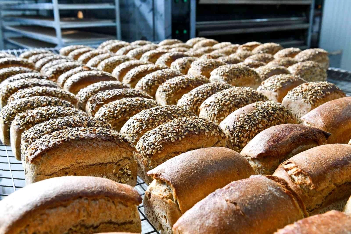Ankara Halk Ekmek Fabrikası\'ndan 4 Çeşit Ekşi Mayalı Ekmek