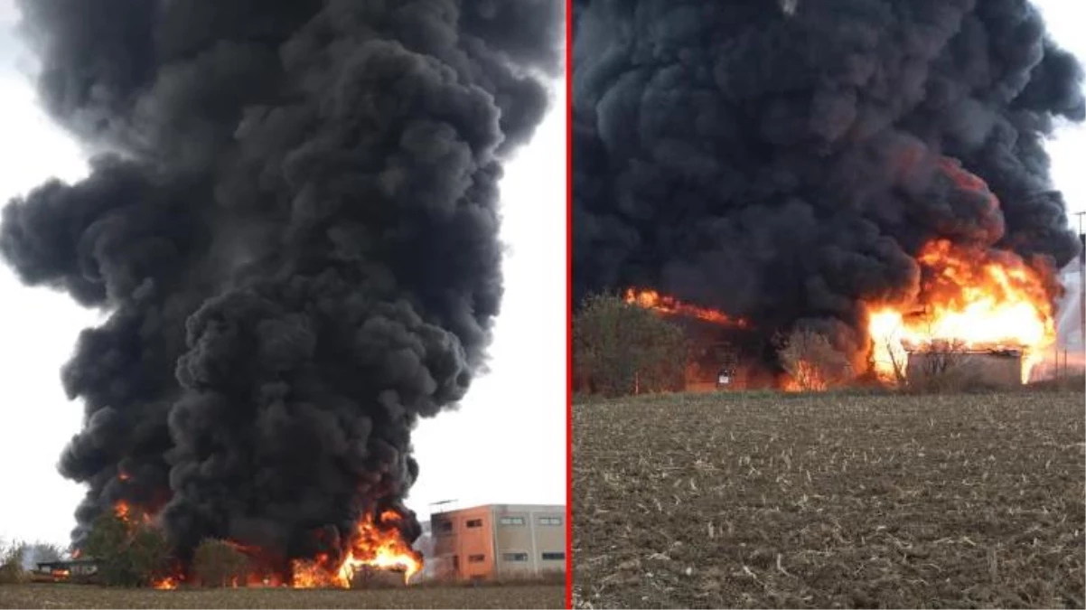 Denizli\'de kimya fabrikasında çıkan yangına müdahale ediliyor