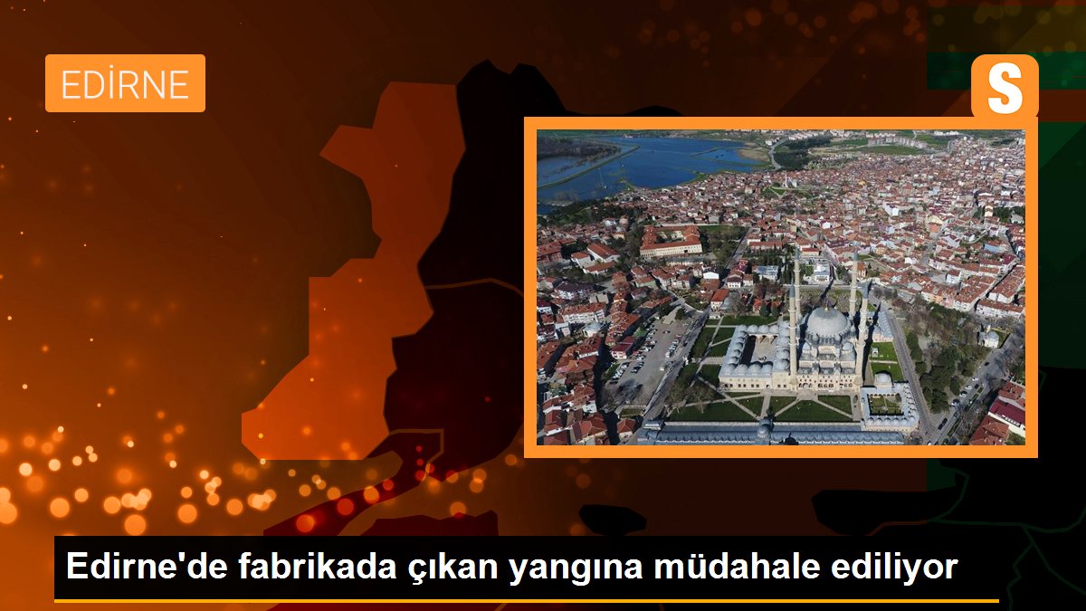 Edirne\'de fabrikada çıkan yangına müdahale ediliyor