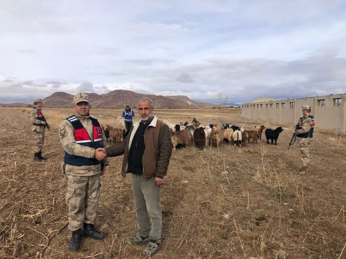 Jandarma, çiftçinin kayıp 50 küçükbaş hayvanını dronla buldu