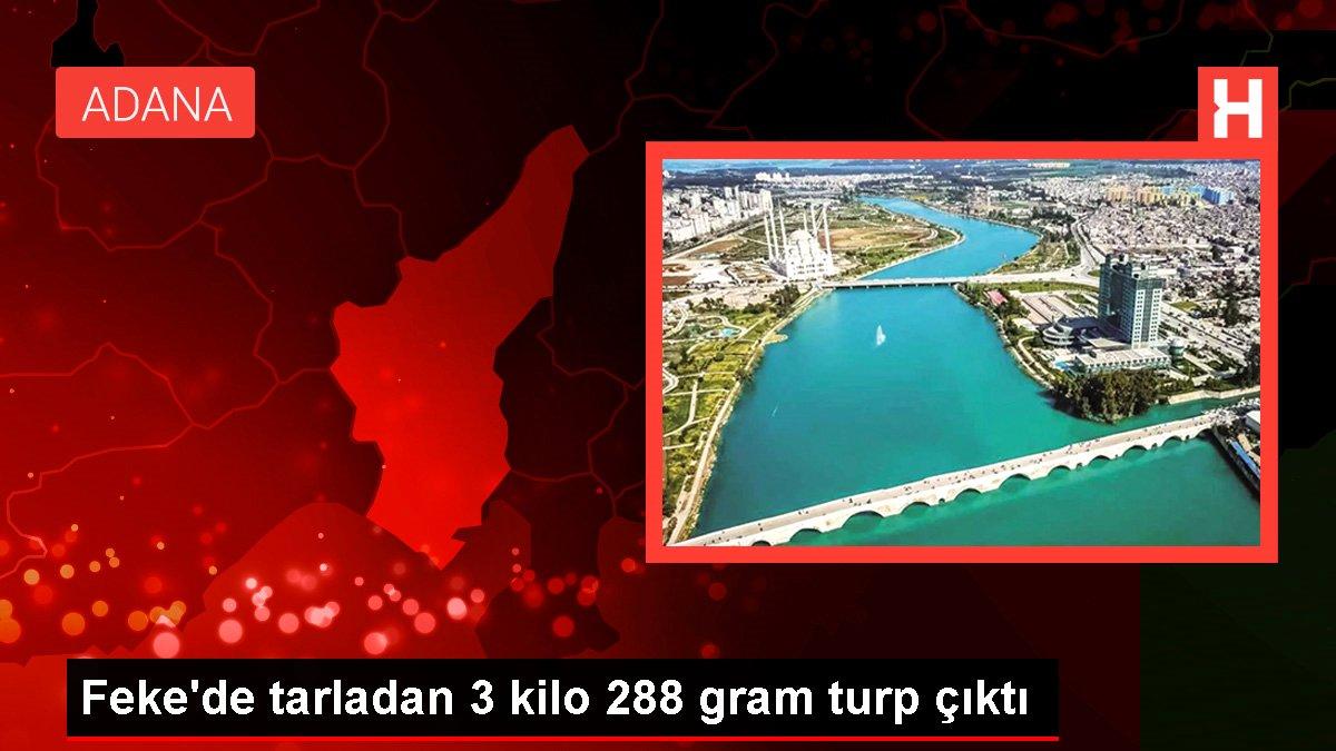 Feke'de tarladan 3 kilo 288 gram turp çıktı