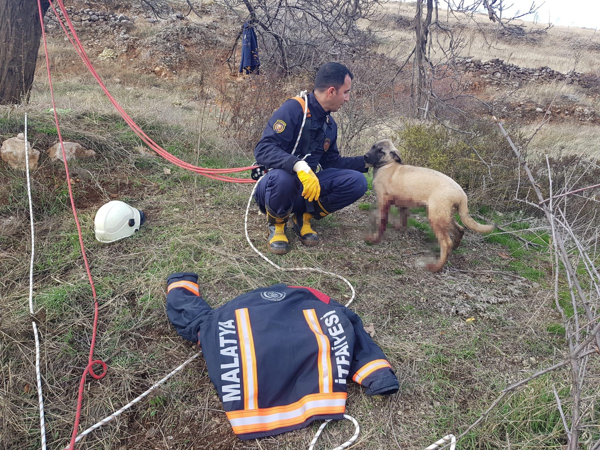 Kuyuya düşen köpeği itfaiye kurtardı