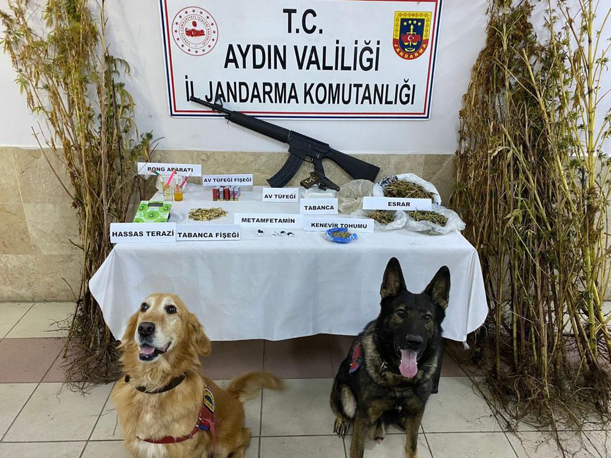 Aydın\'da uyuşturucu operasyonunda 26 zanlı yakalandı