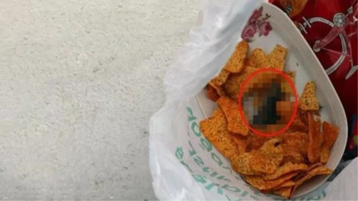 BİM\'den öğrencilerin satın aldığı cipsten çıkan fare ölüsü hakkında açıklama: Böyle bir şey olması mümkün değil